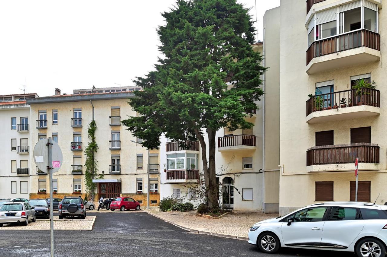 Cascais Studio Outdoor Patio Newly Renovated Екстер'єр фото